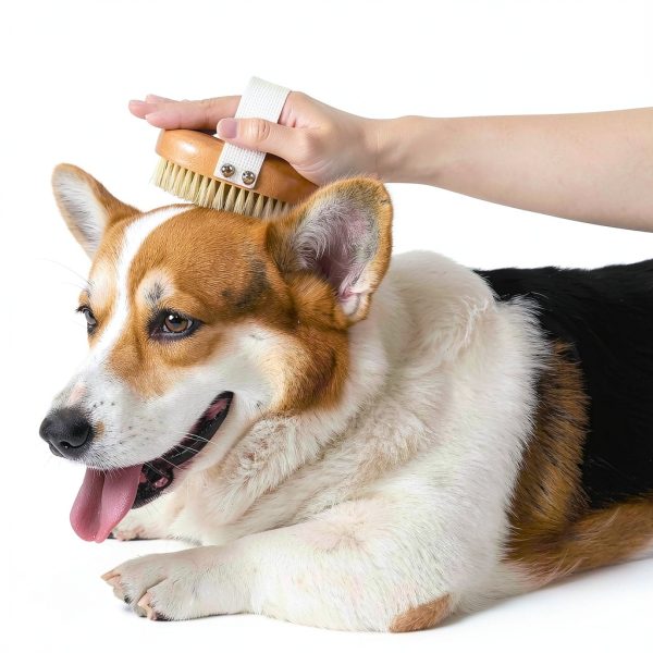 Myselect Boar Bristle Pet Brush for Dogs Cats Gentle-2