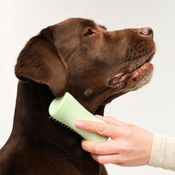 Tangle Teezer Puppy Grooming Brush Gentle Detangling-2