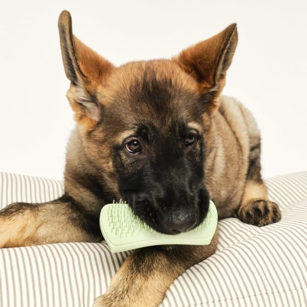 Tangle Teezer Puppy Grooming Brush Gentle Detangling-6
