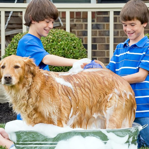 Lilpep Dog Brush Soft Rubber Grooming Massage Pet Supplies-2