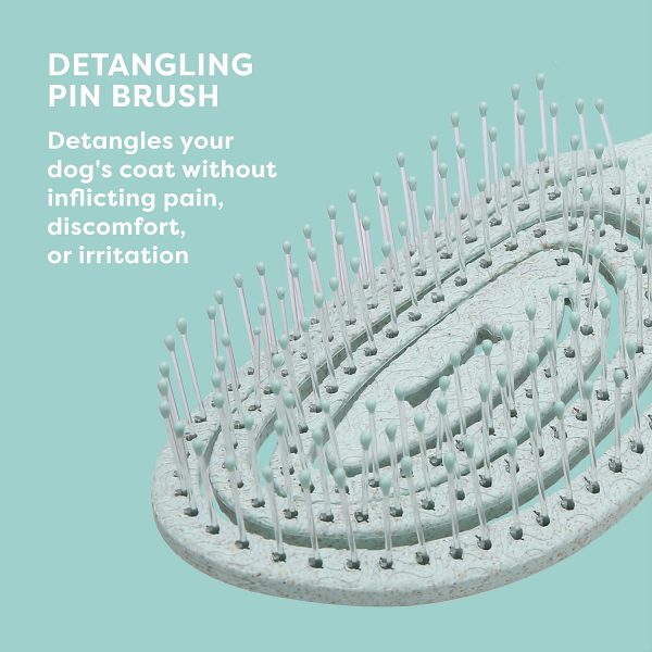 Pets People Eco Friendly Dog Brush Detangling Pin Brush-5
