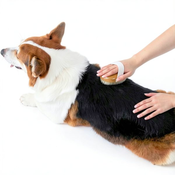 Myselect Boar Bristle Pet Brush for Dogs Cats Gentle-1